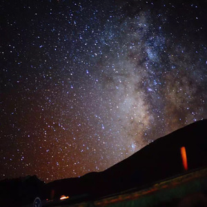 欧美乱伦动态视频
