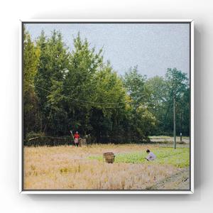 欧美乱伦动态视频
